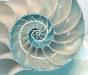 San Francisco Glen Park Eating Disorder Recovery